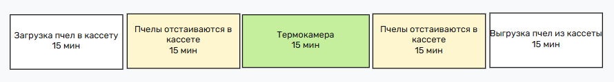 Шаги обработчки пчелиной семьи в термокамере