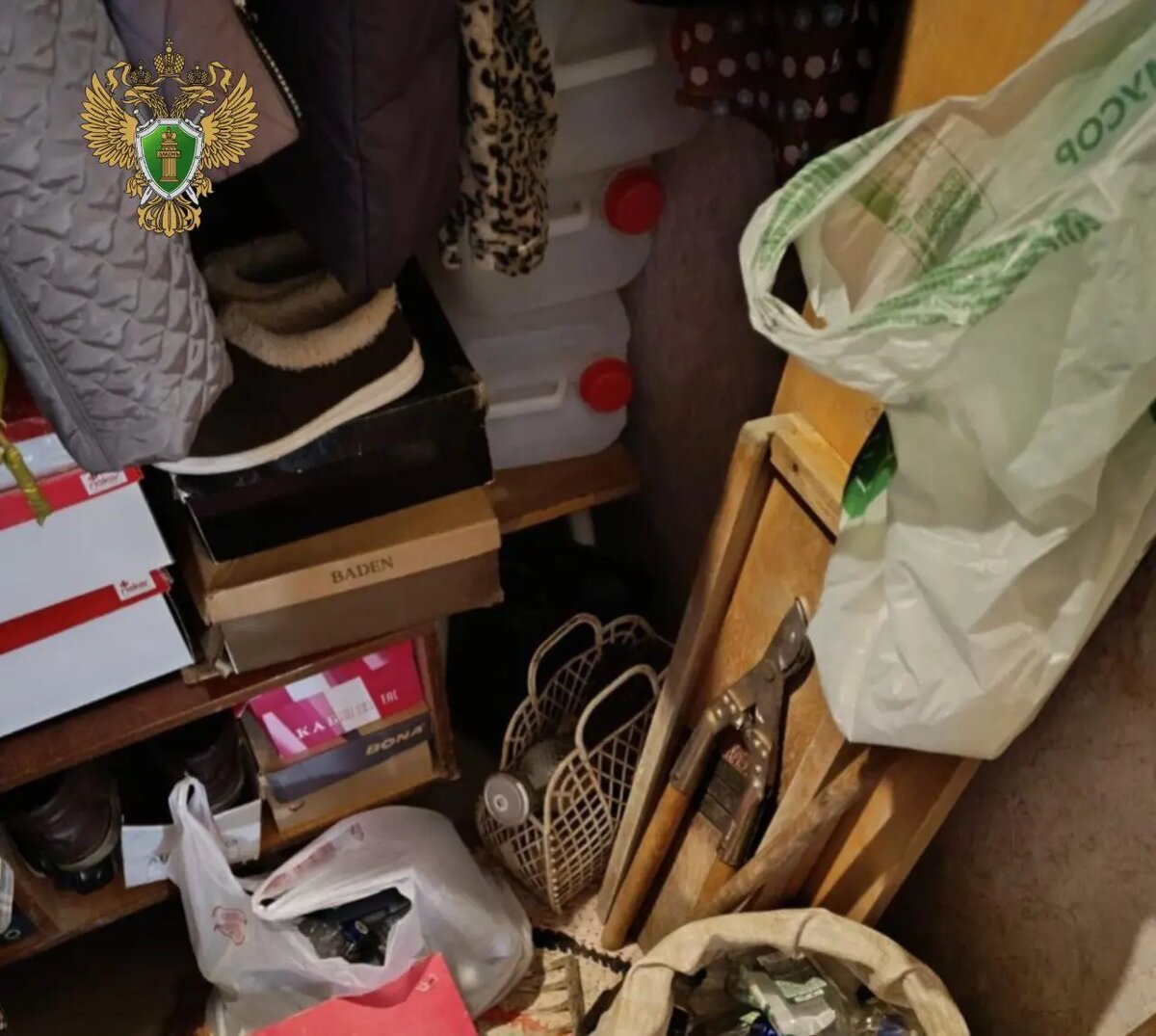    Фото: прокуратура Ленинградской области