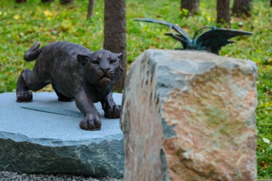    Фото: Телеграм-канал «Центр Амурский тигр», источник: hab.aif.ru