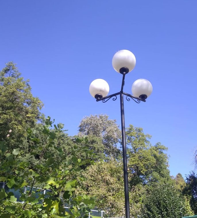    Фото: пресс-служба МЦУ Сочи