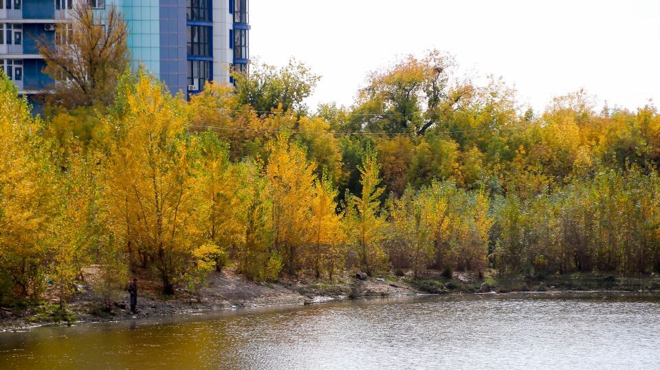    Барнаульский Ковш. Источник: Виталий Барабаш/"Толк"