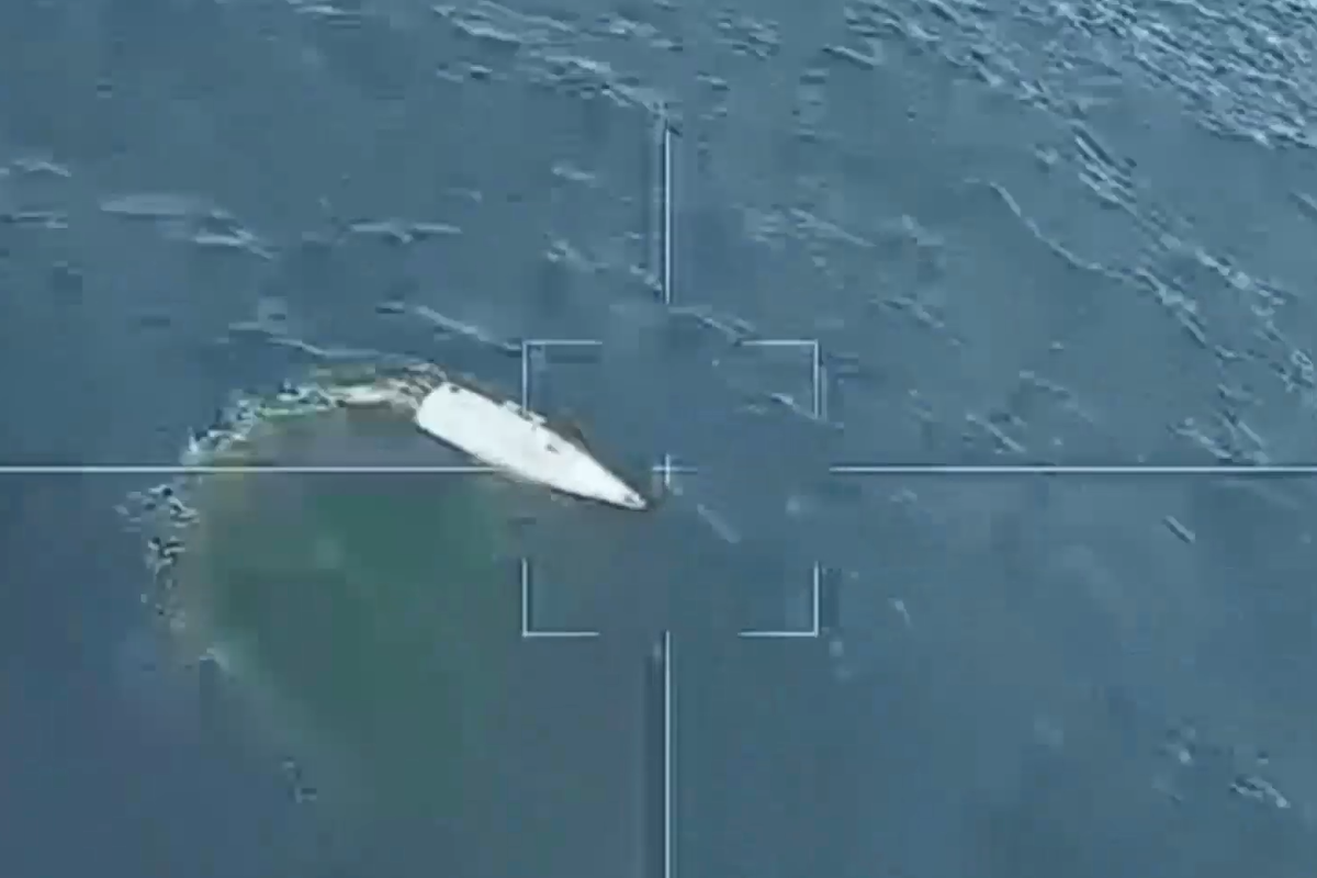     / Источник: © Министерство обороны России. Кадр из видео