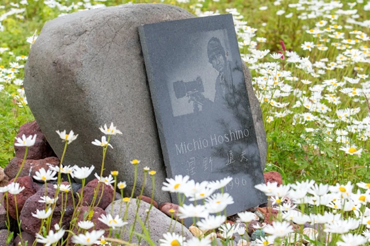    От судьбы не уйдешь.