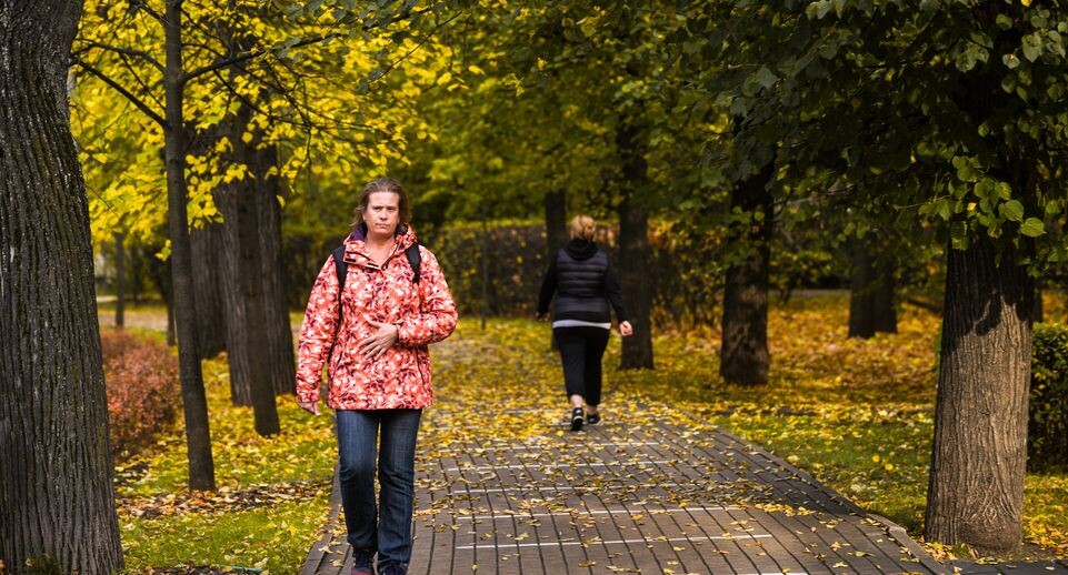    Золотая осень в парке «Сокольники» / Медиасток.рф