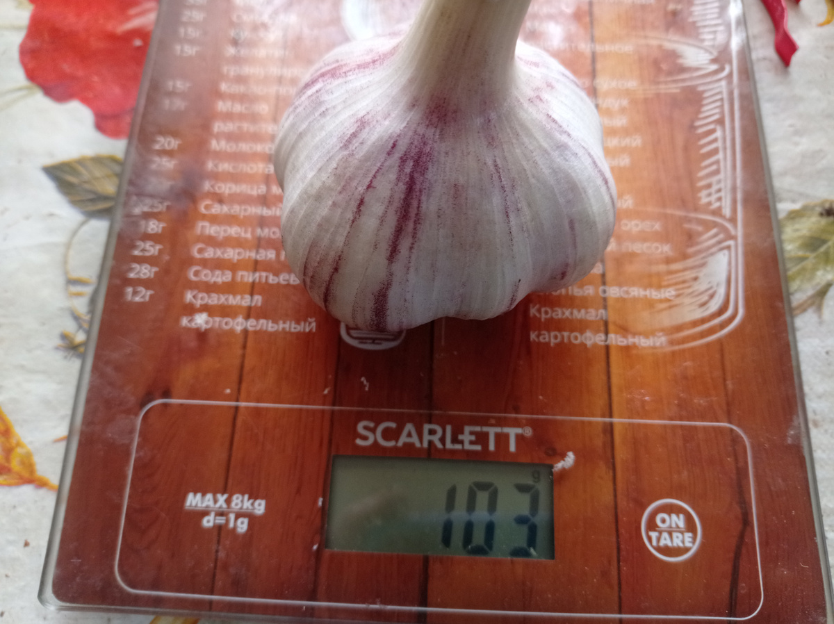 На посадку отобрала самые большие головки