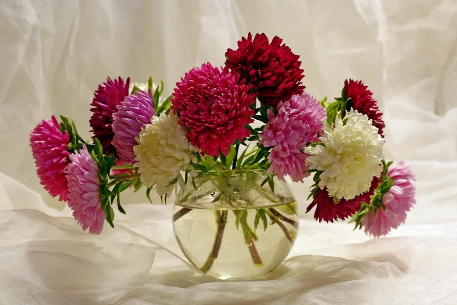 Яндекс Картинки