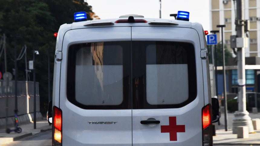    Фото: © РИА Новости/Наталья Селиверстова