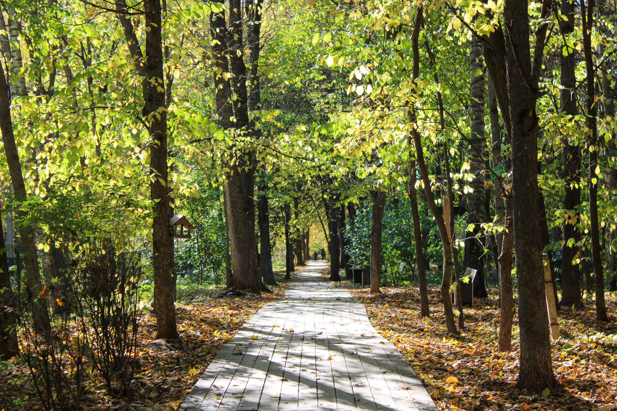 Местами прогнозируется резкое похолодание.  Фото: Фото: ФедералПресс / Ксения Кобалия