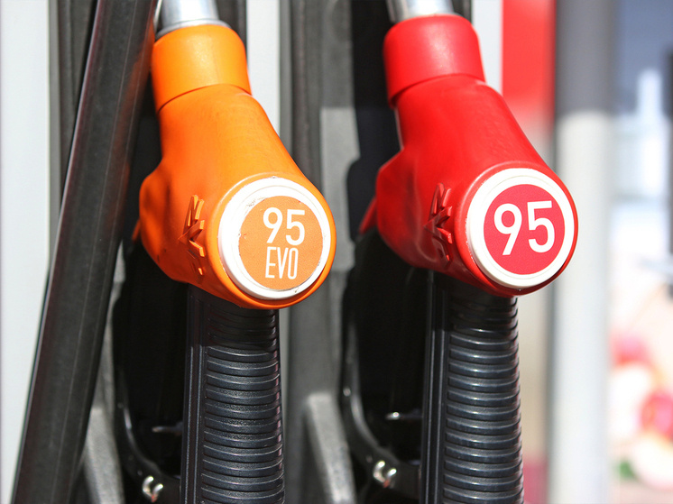 Фото: Геннадий Черкасов
