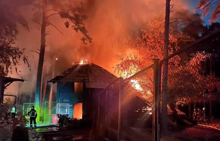    Фото - прокуратура Новосибирской области