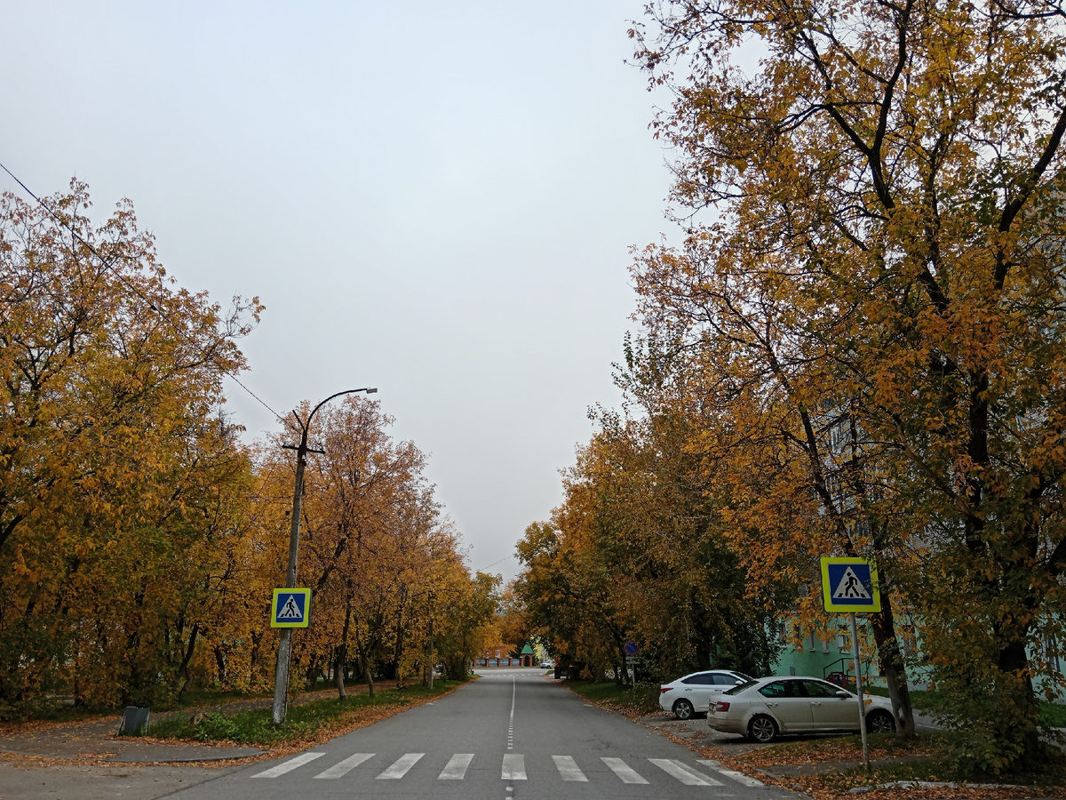 Осенний туннель над проезжей частью.