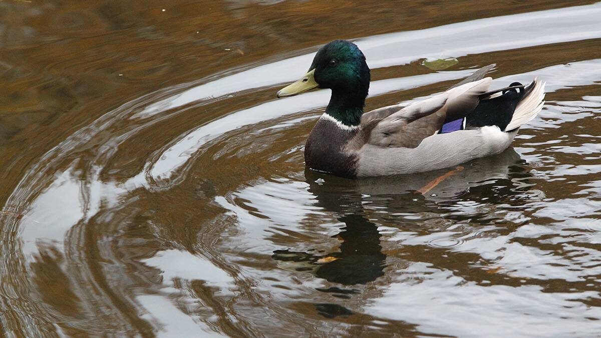   Фото: Владимир Смоляков / Вечерняя Москва