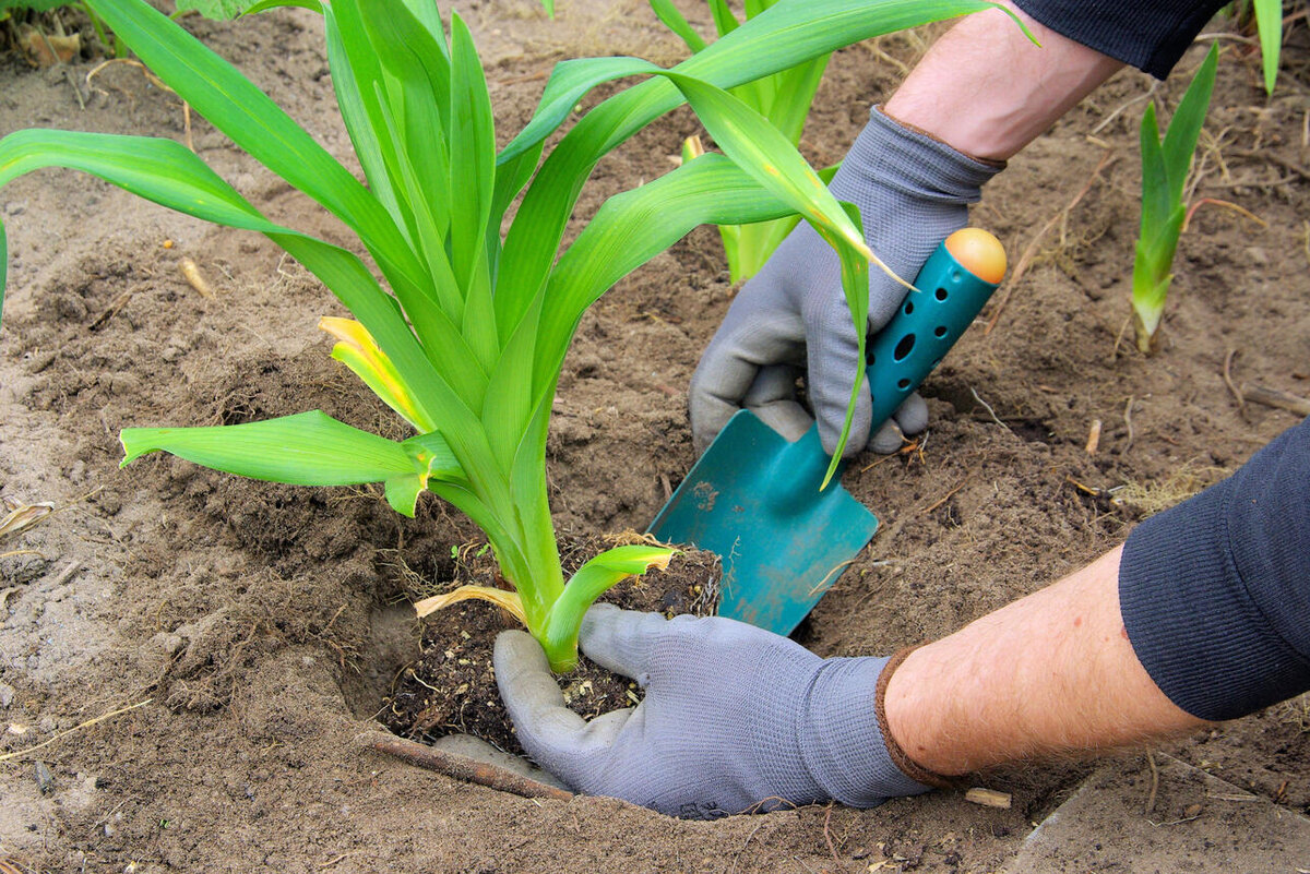     123RF/legion-media.ru