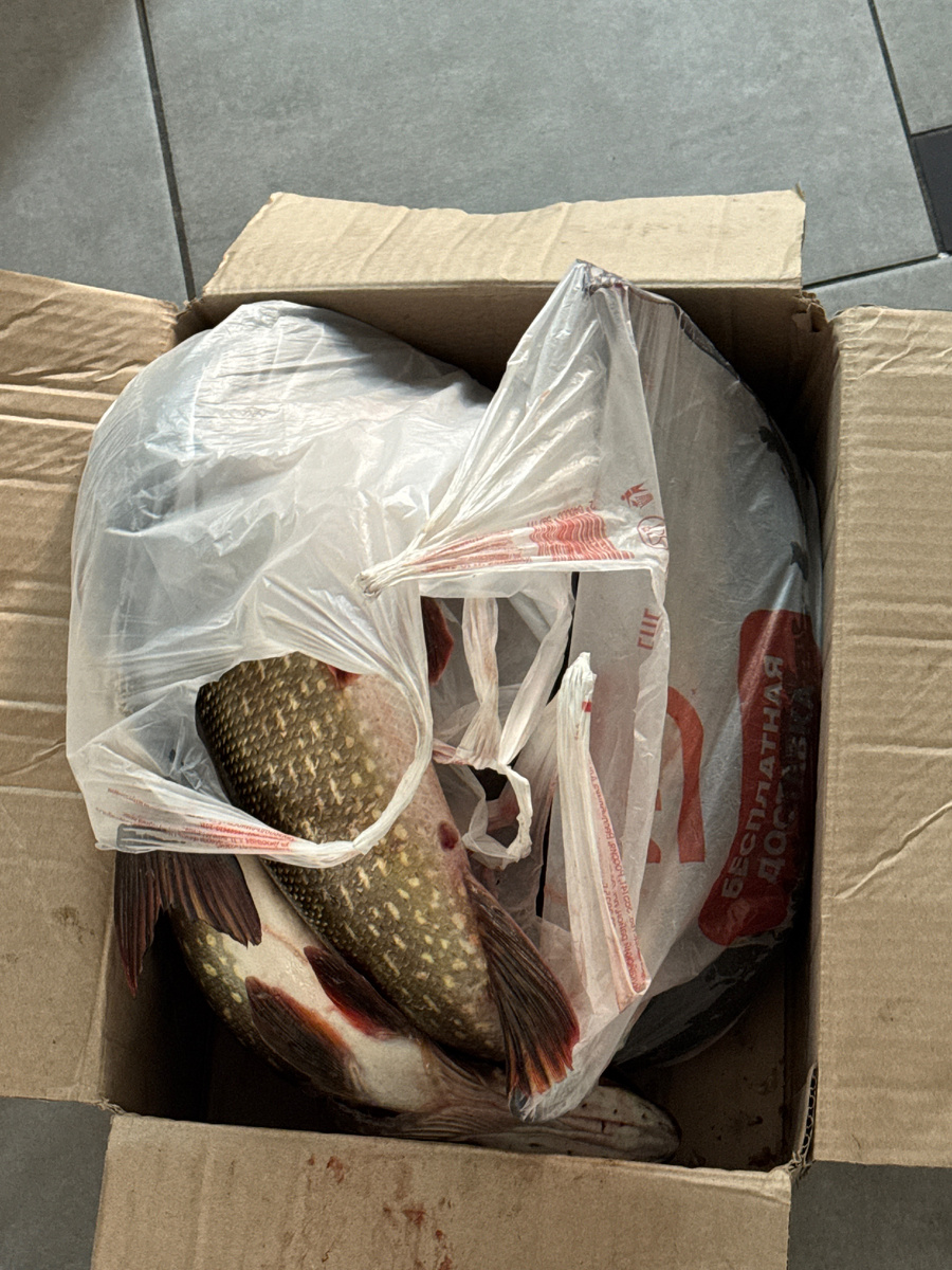 Одна из партий