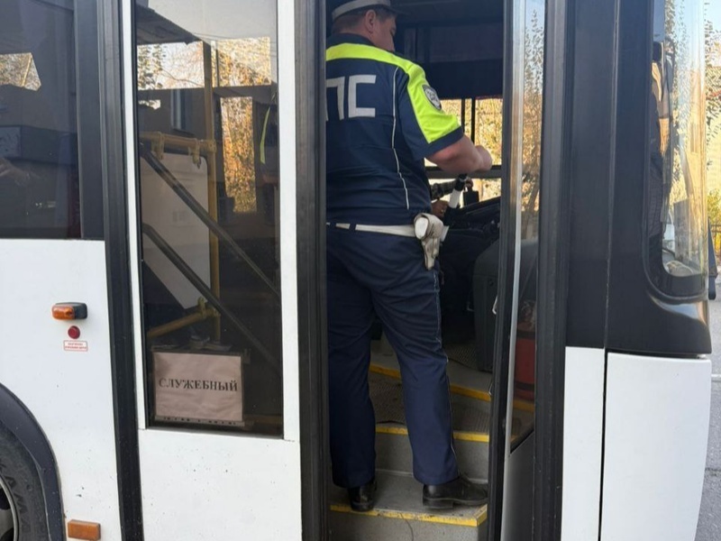     Фото: Госавтоинспекция Свердловской области