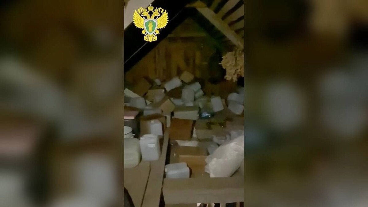    Фото: полиция Ленобласти