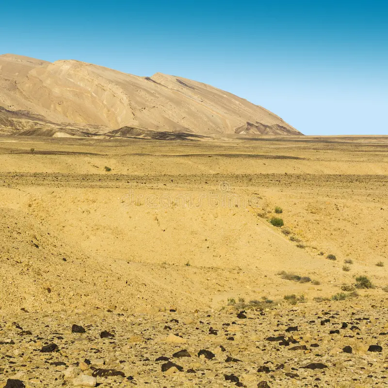 Израильская пустыня (изображение из открытых источников)