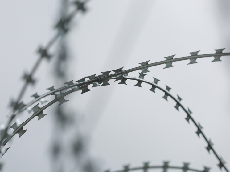 BELKIN ALEXEY/NEWS.RU/GLOBAL LOOK PRESS
