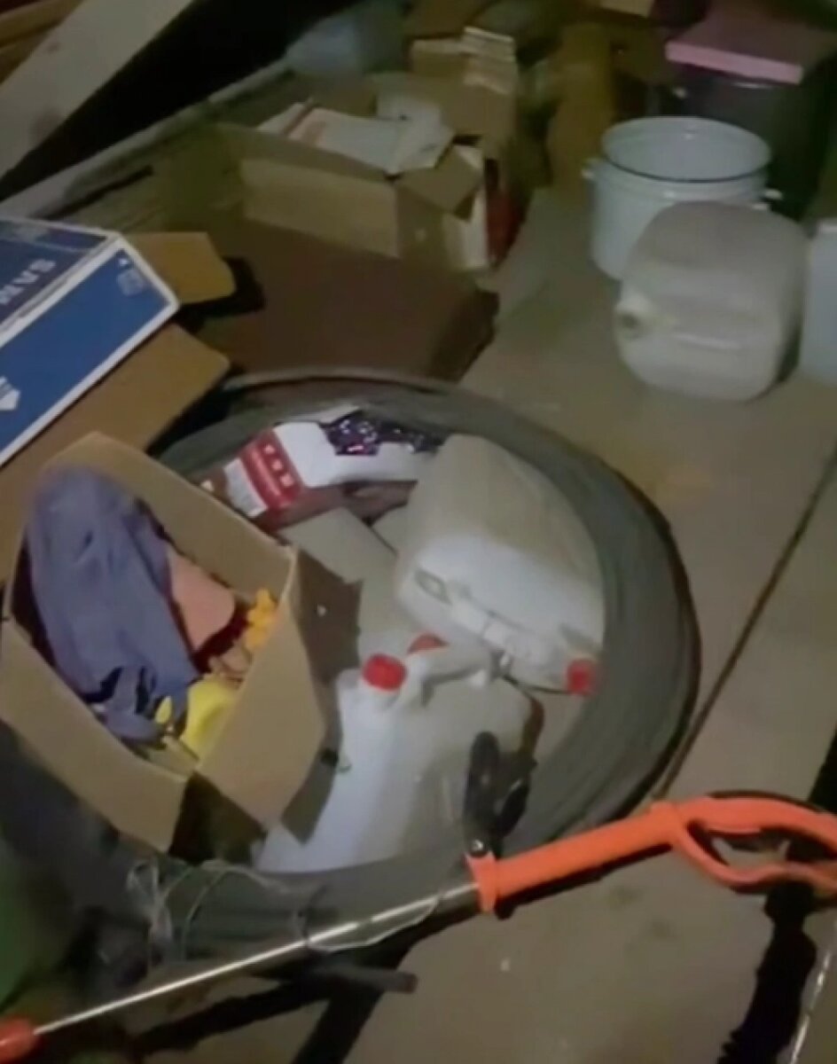    Фото: Прокуратура Ленинградской области/ скриншот оперативного видео