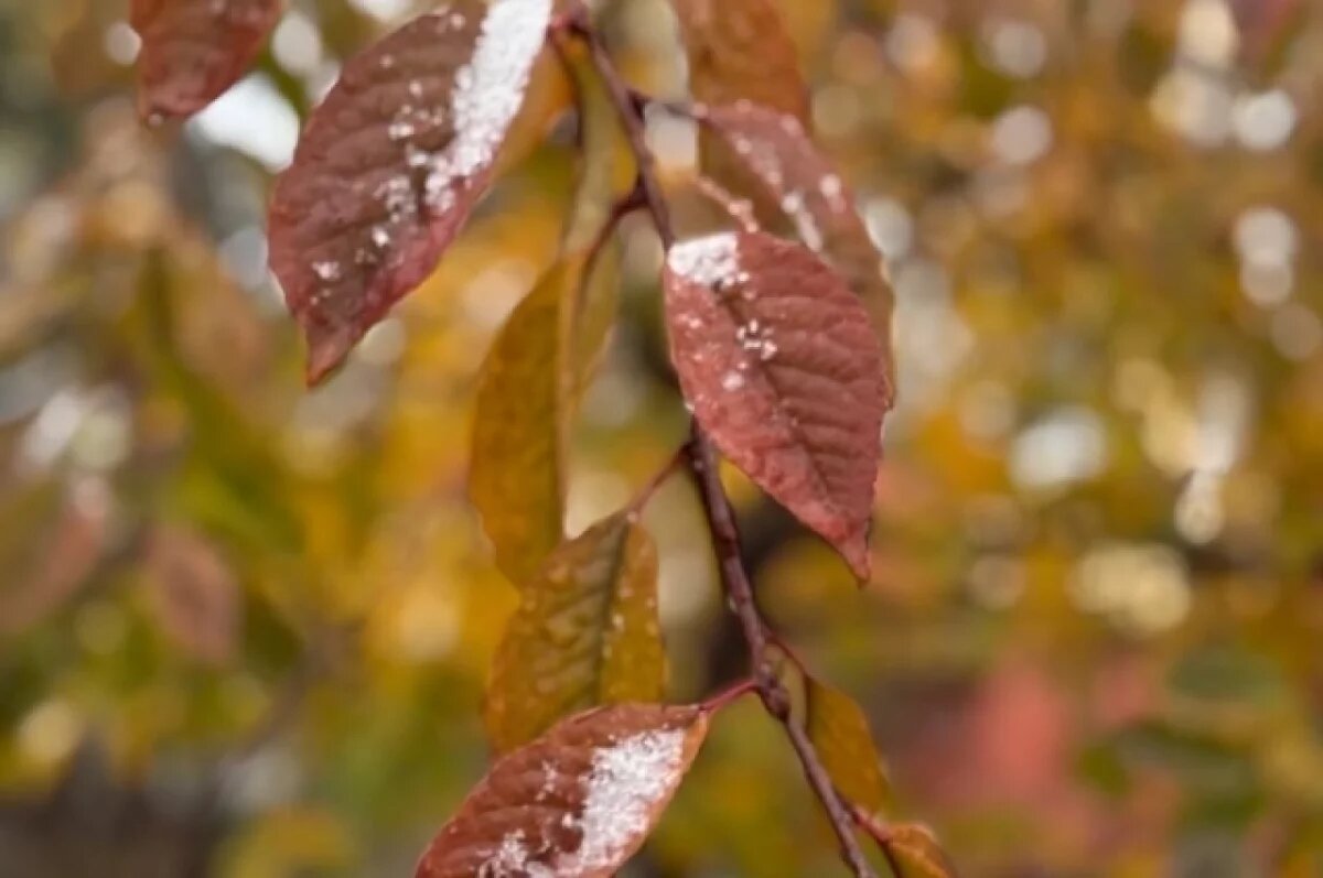    Холодные и дождливые выходные ожидаются в Удмуртии