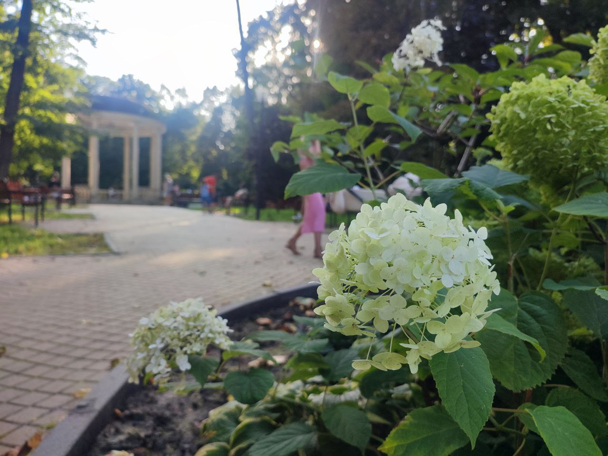 Фото: Telegram-канал «Тульские парки»