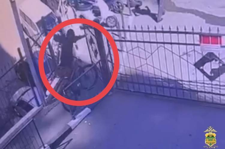    Фото: пресс-служба полиции Сочи