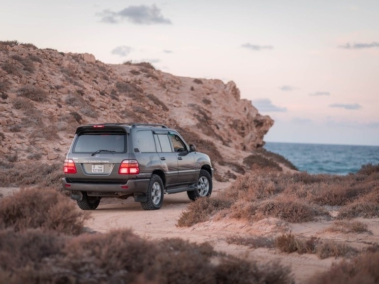     Фото: abdo alshreef/pexels.com