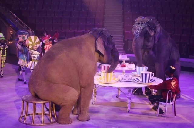    Фото: АиФ/ Мария Франко