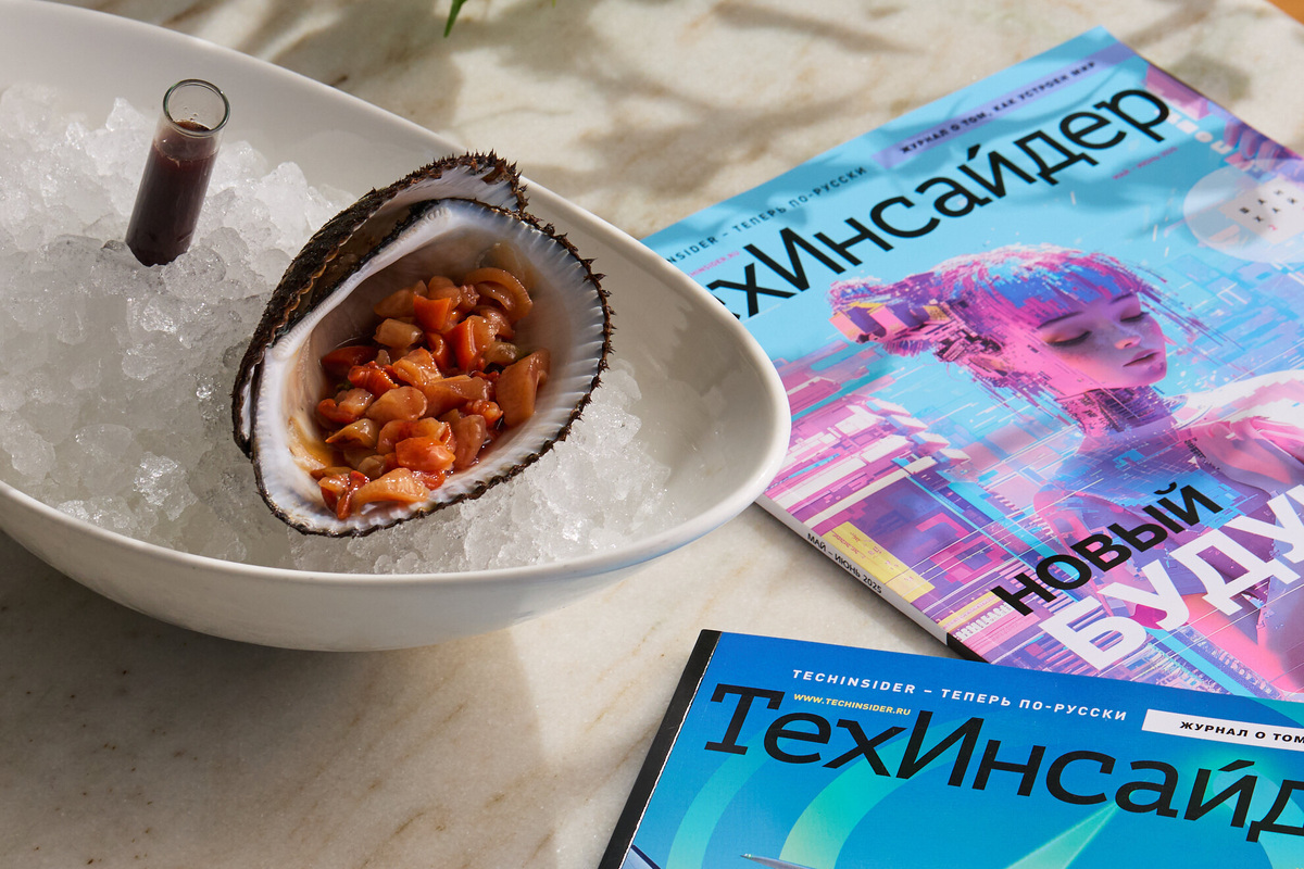     Кровь моллюска: чем полезна анадара и как правильно употреблять этот деликатес