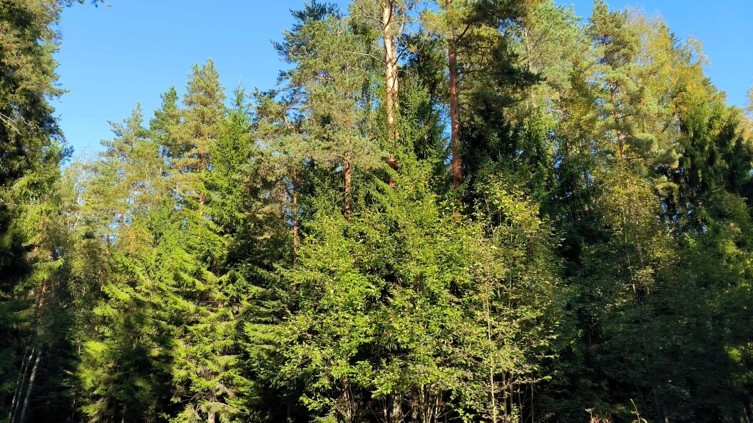    фото: Maksim Konstantinov/Global Look Press