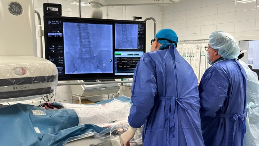    Фото: ДИП Свердловской области