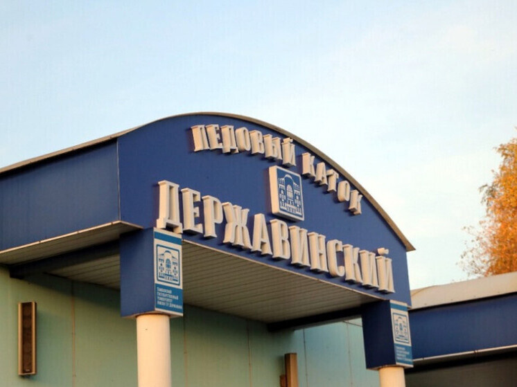     Источник: ИА "Онлайн Тамбов.ру"