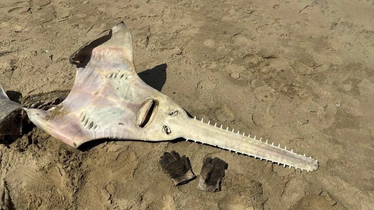     Фото: Kevin Cole