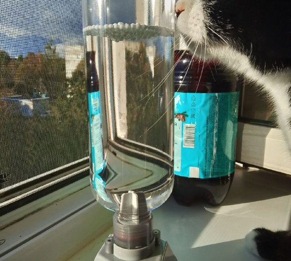 Осень и торнадо