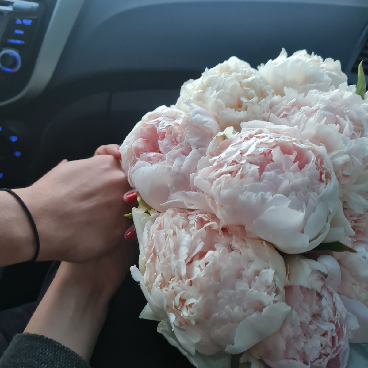 Самый яркий аромат пионов на рассвете!