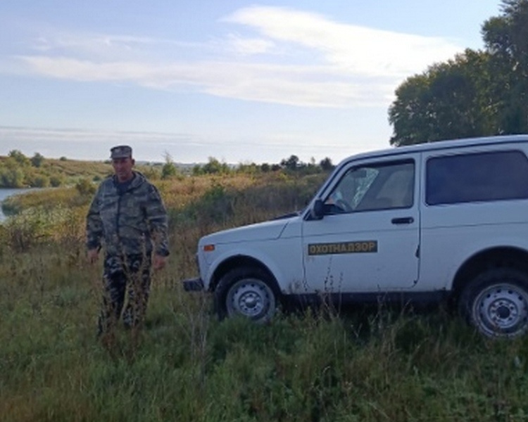     В Курской области составили 7 протоколов за сети для добычи бобра и норки