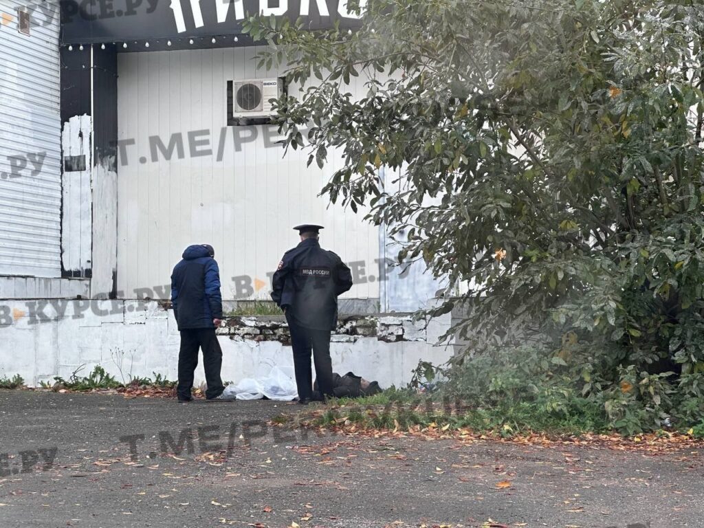    Фото: В курсе.ру Полина Анкушина