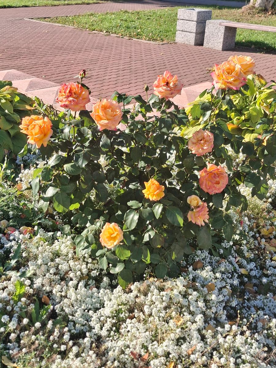 Фото автора канала