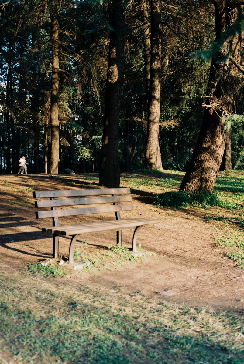 из свободных источников