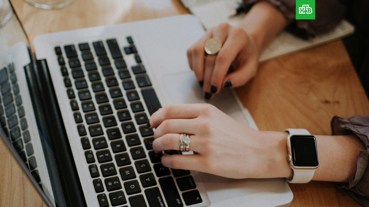    Фото: Christin Hume / unsplash.com