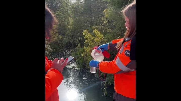    Видео: телеграм-канал "Московская железная дорога"