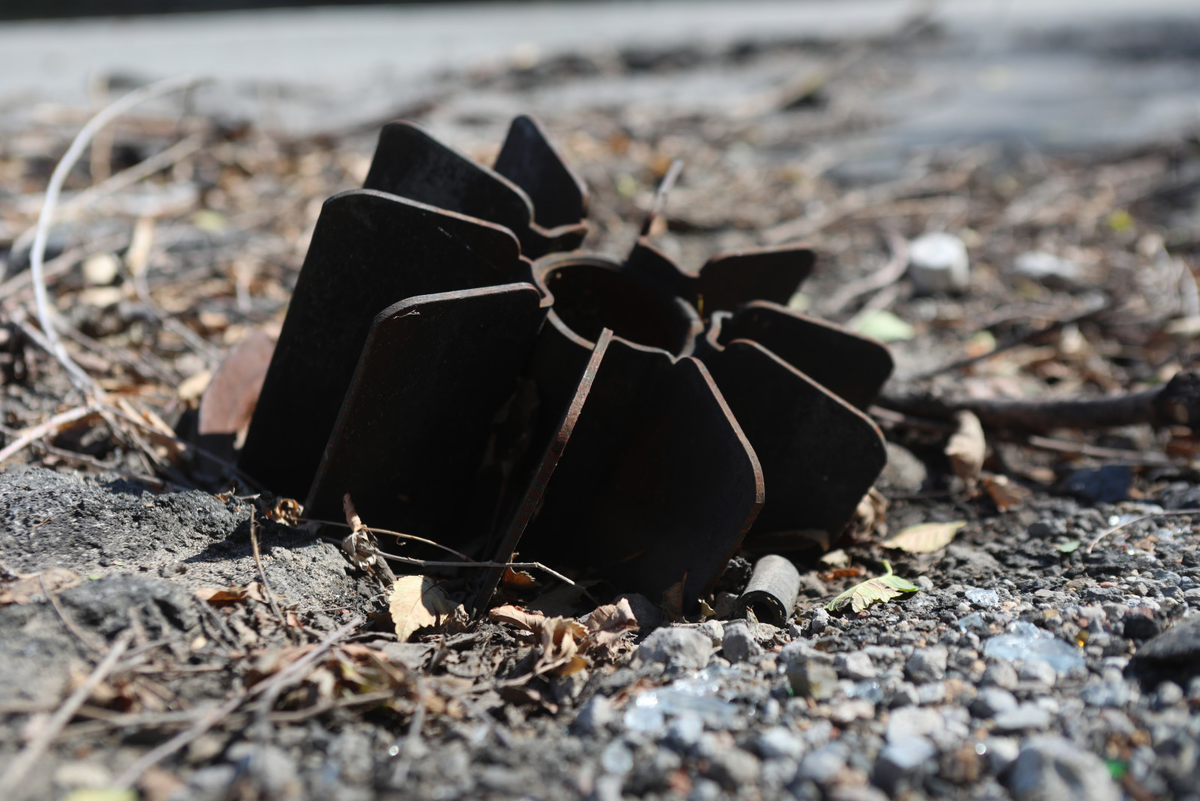 Роман Пименов/«Петербургский дневник»