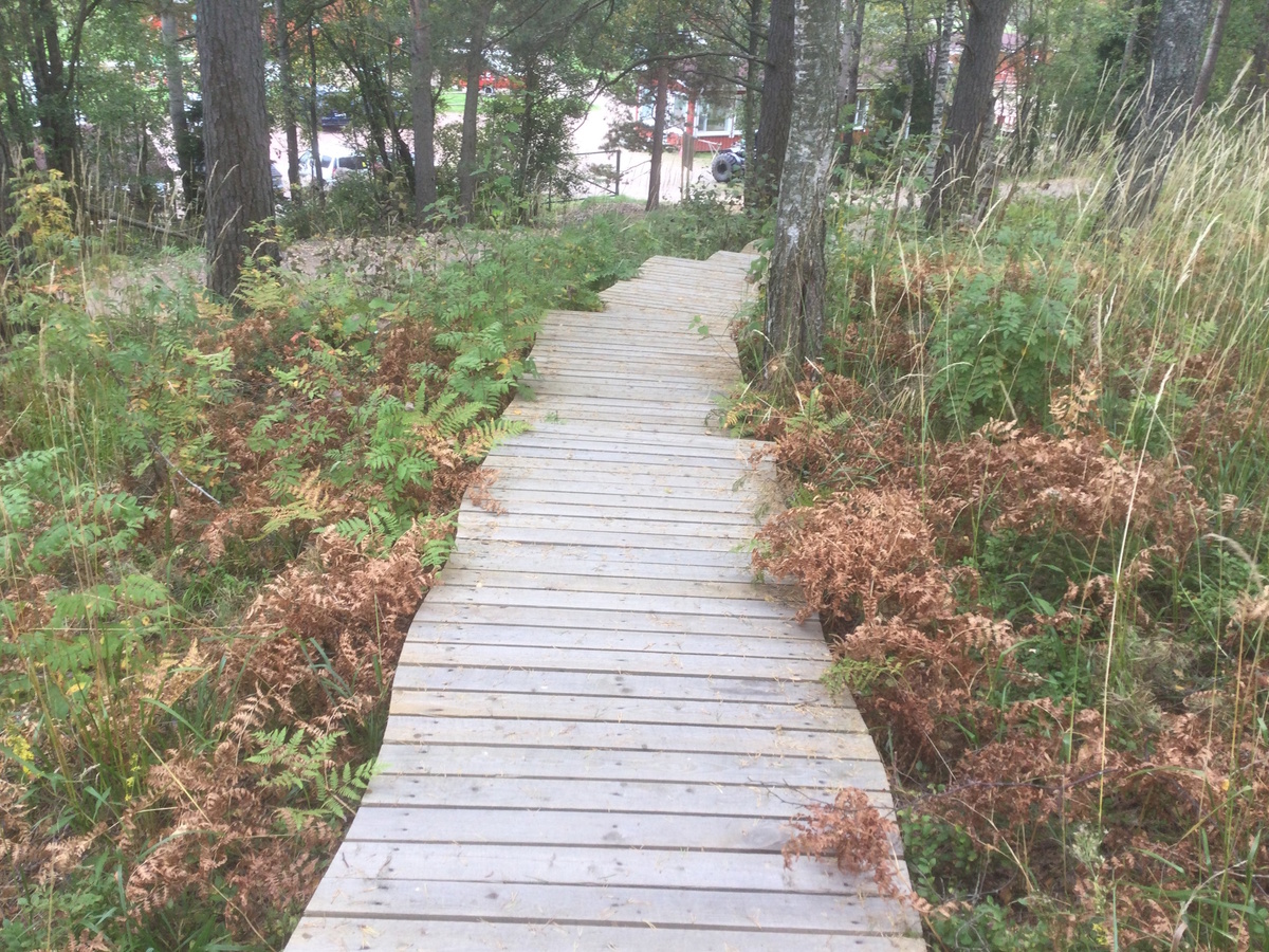 Деревянные настилы создают дополнительные удобства 