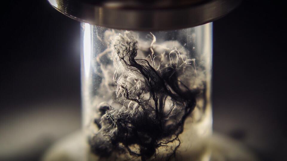 Фото: © РЕН ТВ