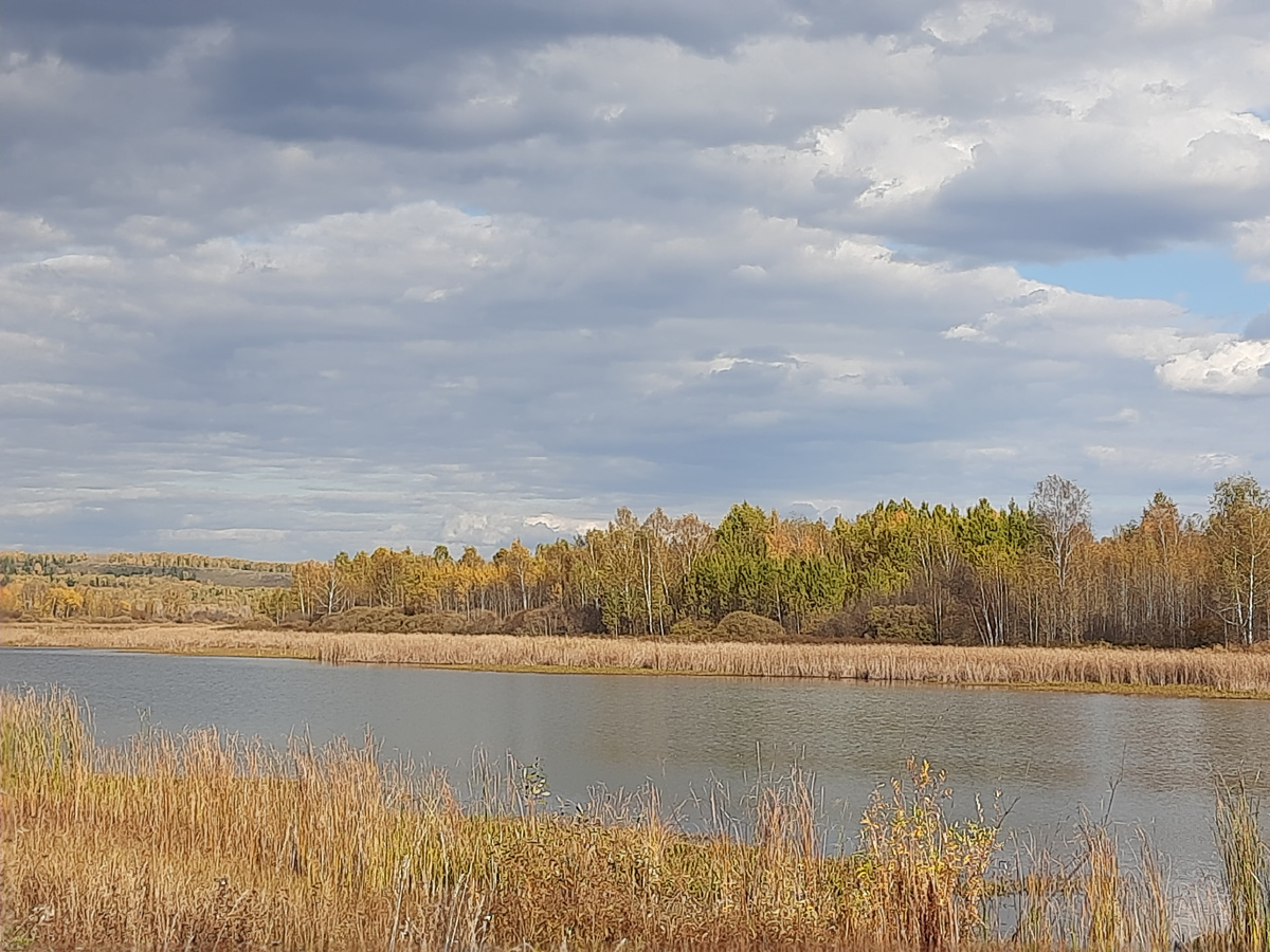 Берег реки Чулым