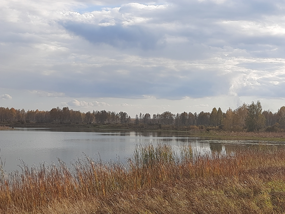 Берег реки Чулым