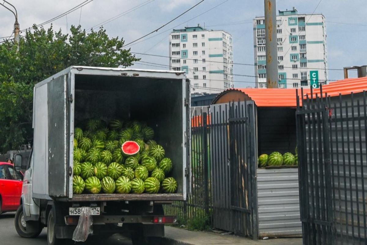    Фото: Юлия Боровикова, источник: vecherka.su