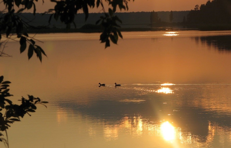 На утренней зорьке