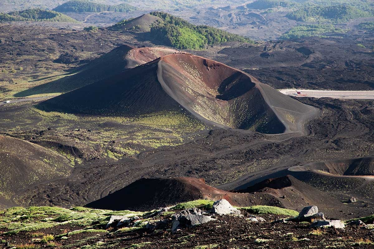    Как на другую планету попал. Источник: Melinda Nagy / Shutterstock / FOTODOM