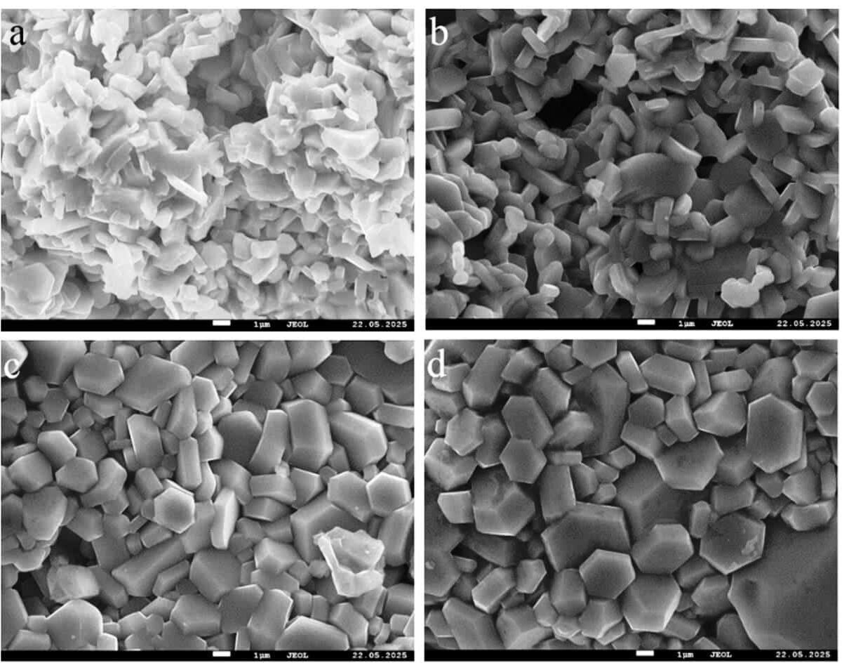    Рисунок 2. Изображения поверхности образцов,   
полученные методом сканирующей электронной микроскопии. Марганец-замещенный гексаферрит бария синтезирован из реакционной смеси с массовой долей монооксида марганца (%): 3,08 (a), 6,19 (b), 9,32 (c), 12,47 (d) / © Gudkova S. A. et al., Results in Chemistry